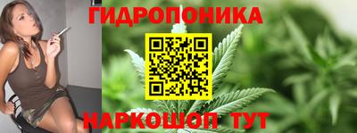 PSILOCYBIN Аша