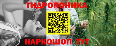 сатива Ачхой-Мартан