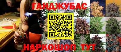 сатива Ачхой-Мартан