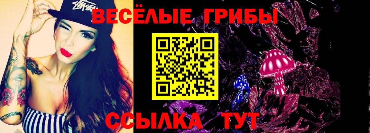 Псилоцибиновые грибы GOLDEN TEACHER  Вход с VPN  Зеленокумск 
